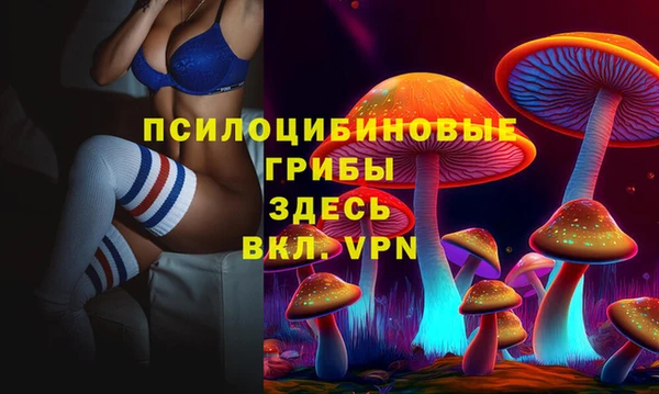 прущая мука Бронницы